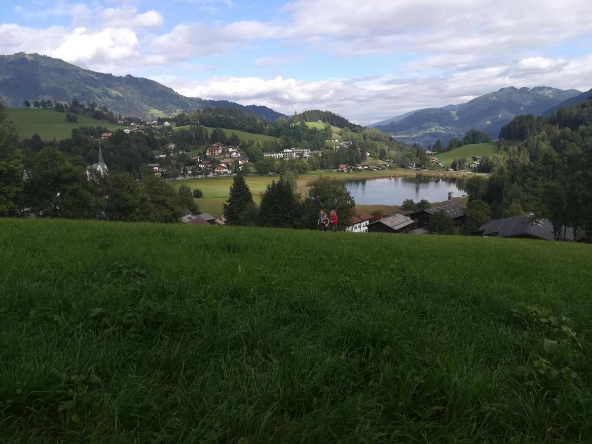 Apartment Alpenpanorama Goldegg Eksteriør billede