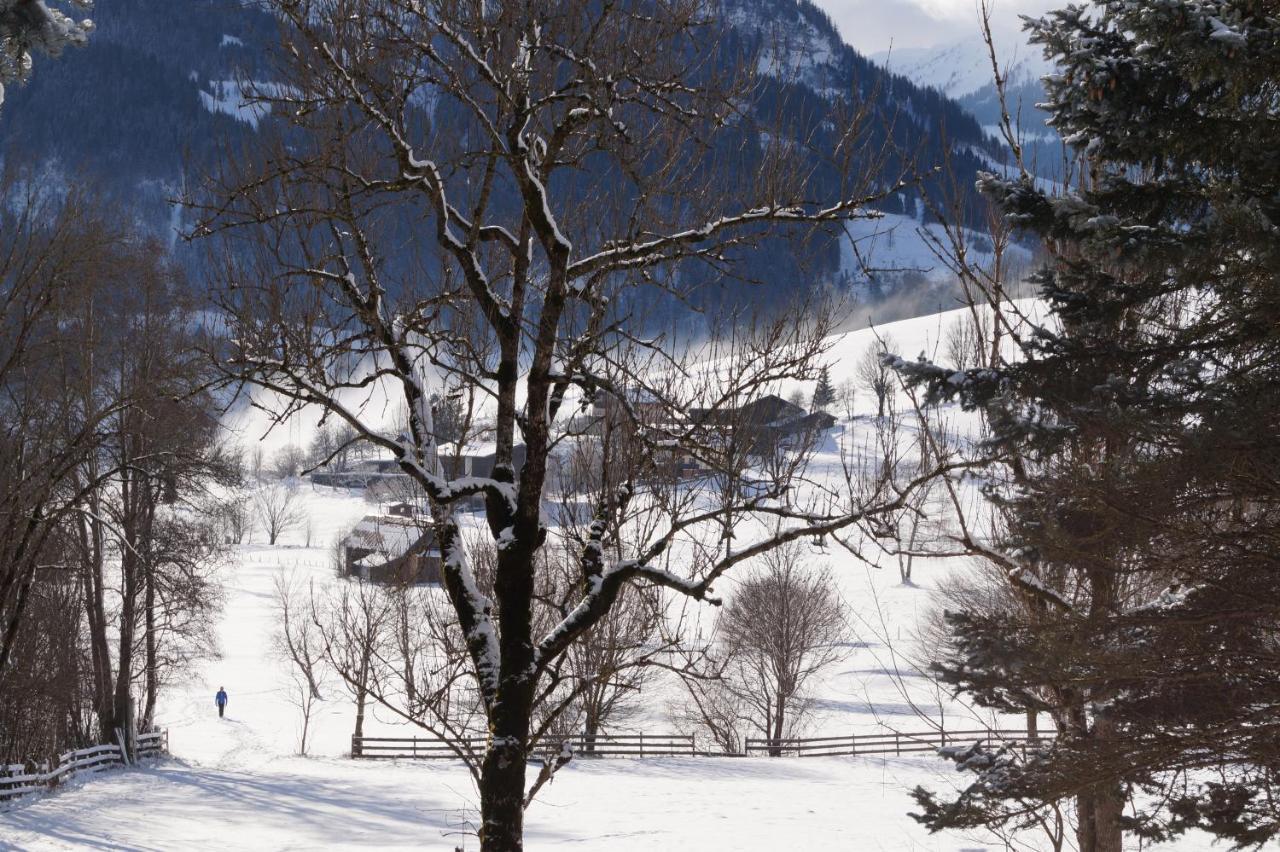 Apartment Alpenpanorama Goldegg Eksteriør billede