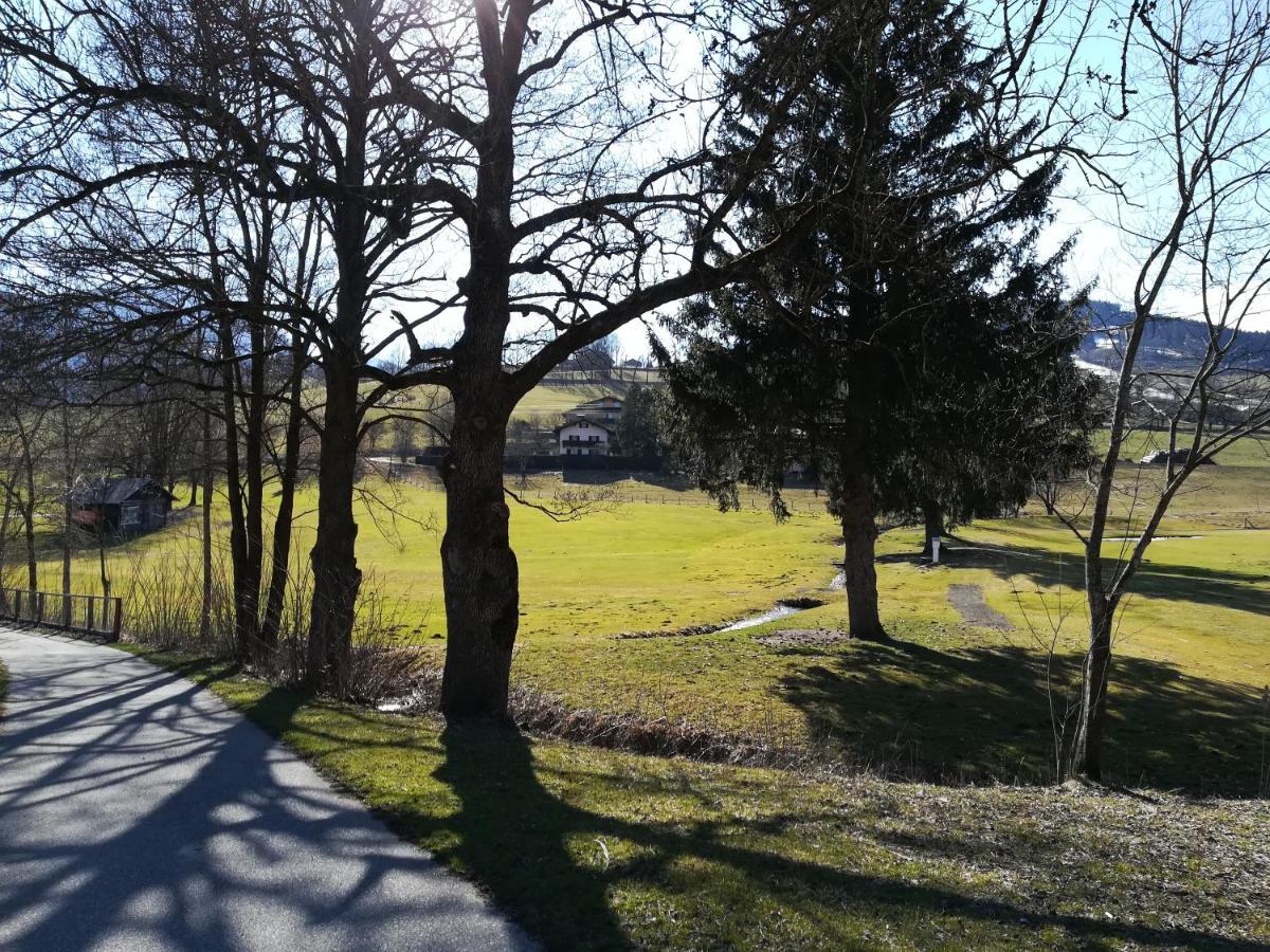 Apartment Alpenpanorama Goldegg Eksteriør billede