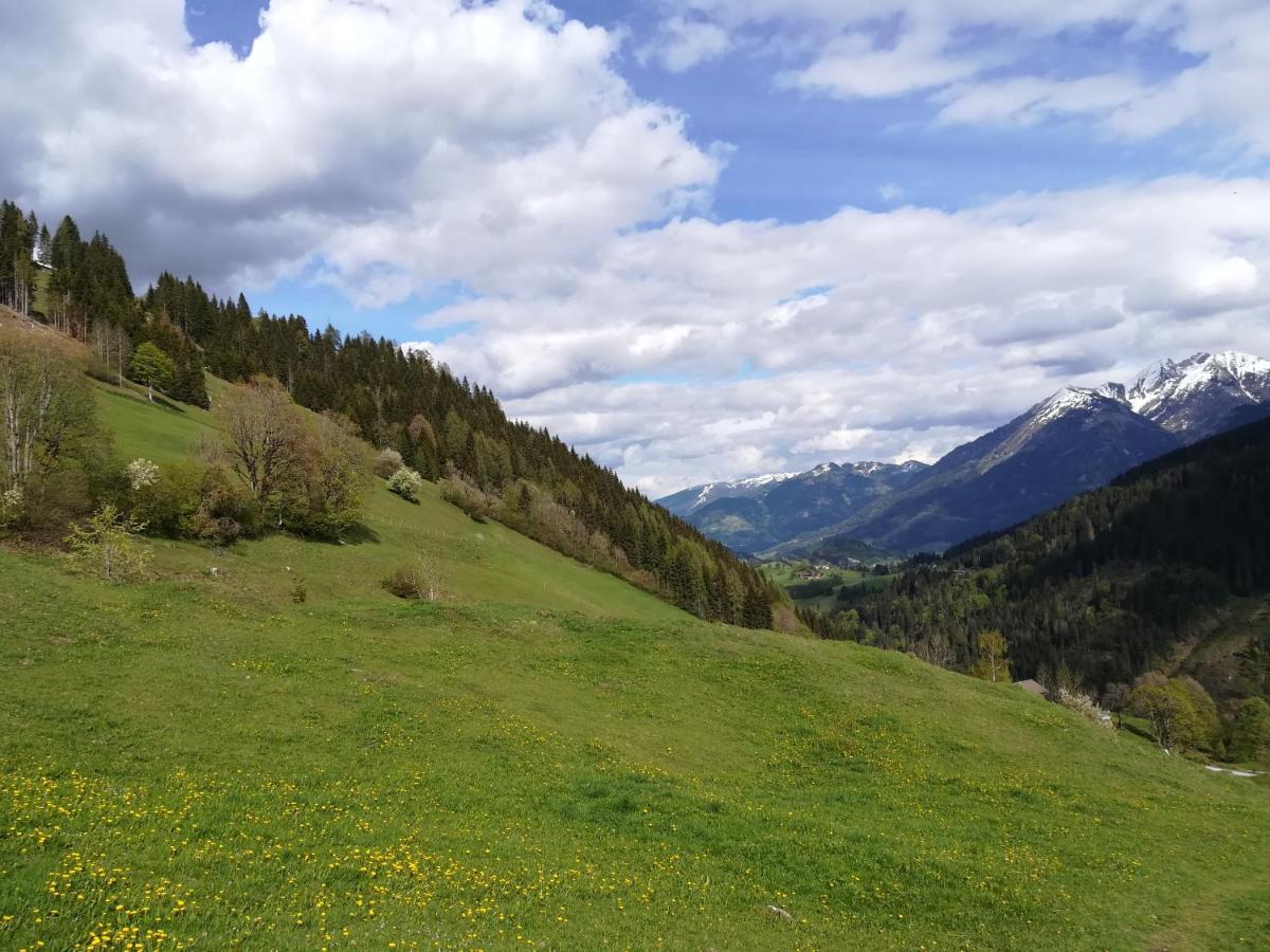 Apartment Alpenpanorama Goldegg Eksteriør billede